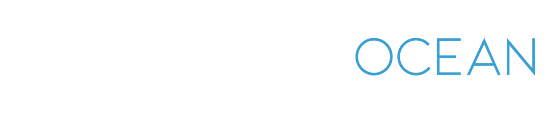 BlueOcean_Light-Logo-05